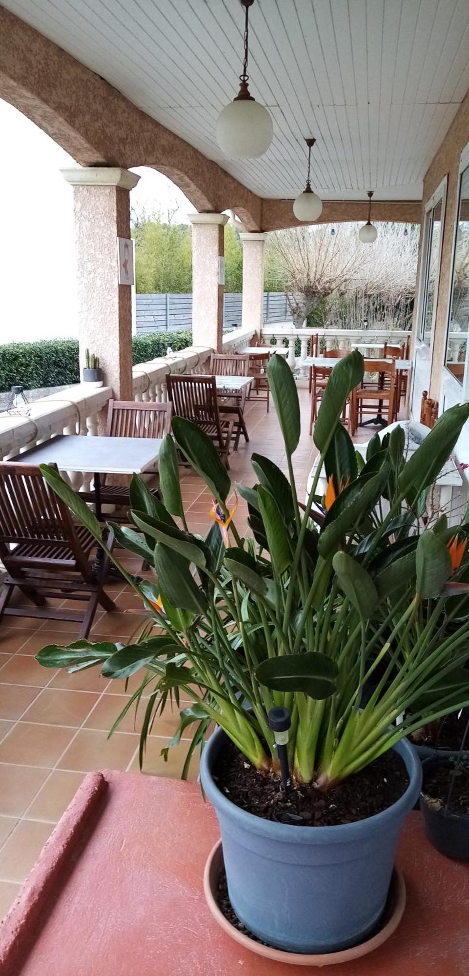 מלון Aujargues Le Grand Jardin מראה חיצוני תמונה